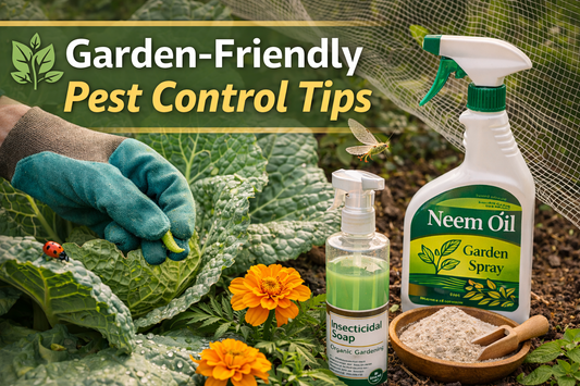 Garden-friendly pest control methods for healthy outdoor gardens