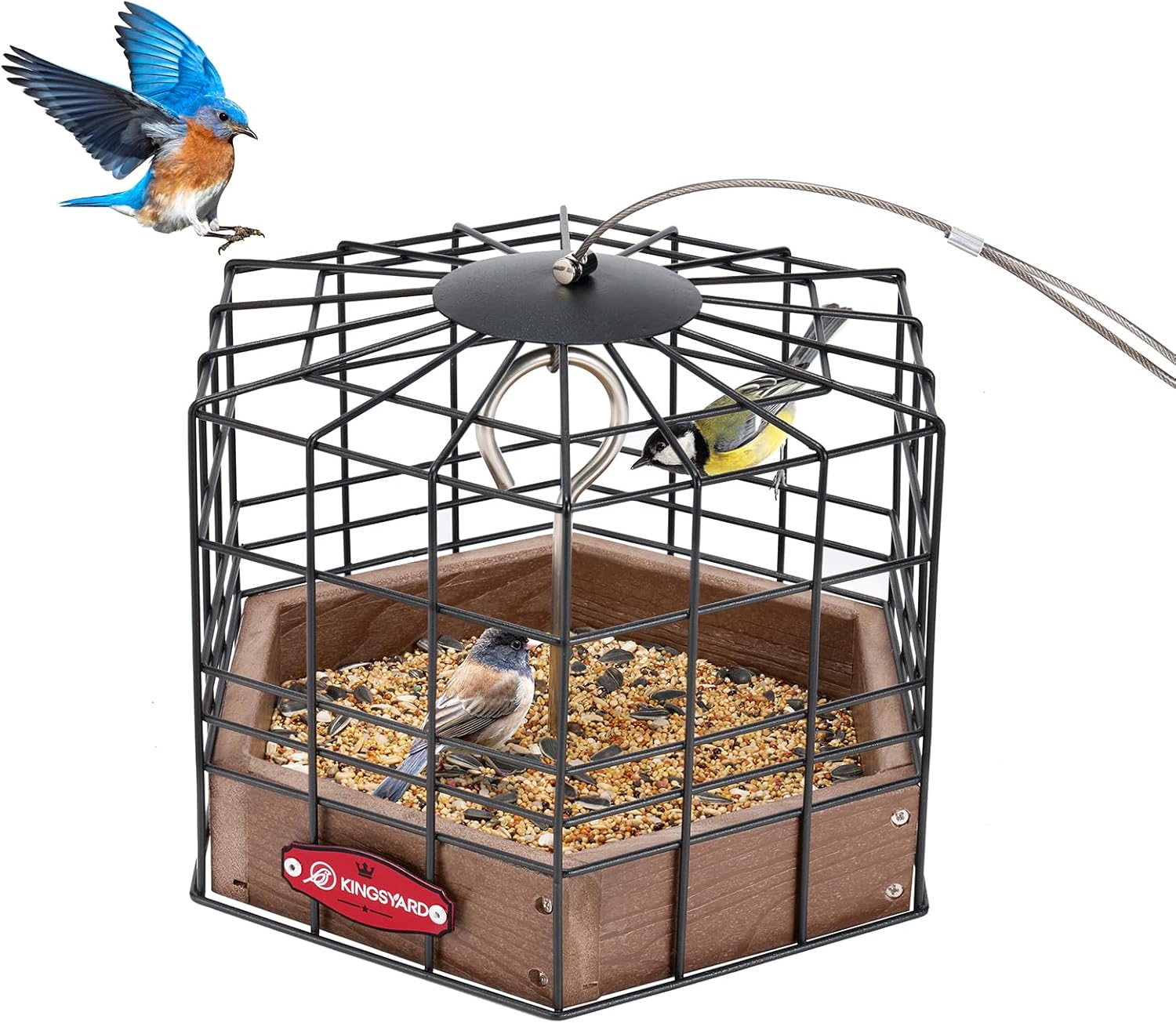 EdenRoots backyard bird feeders and wildlife habitat décor