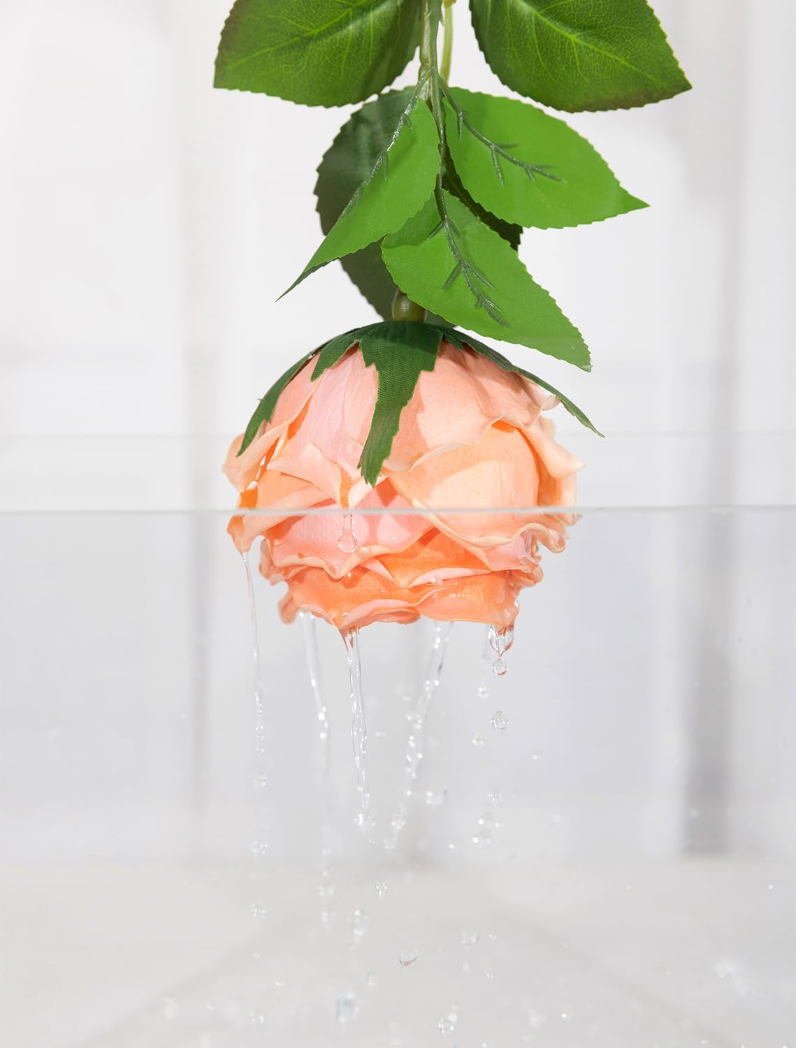 DuHouse 5Pcs Silk Roses Fake White Roses with Stems Real Touch Rose Artificial Flowers for Arrangement Wedding Party Home Decoration(Peach Fuzz)