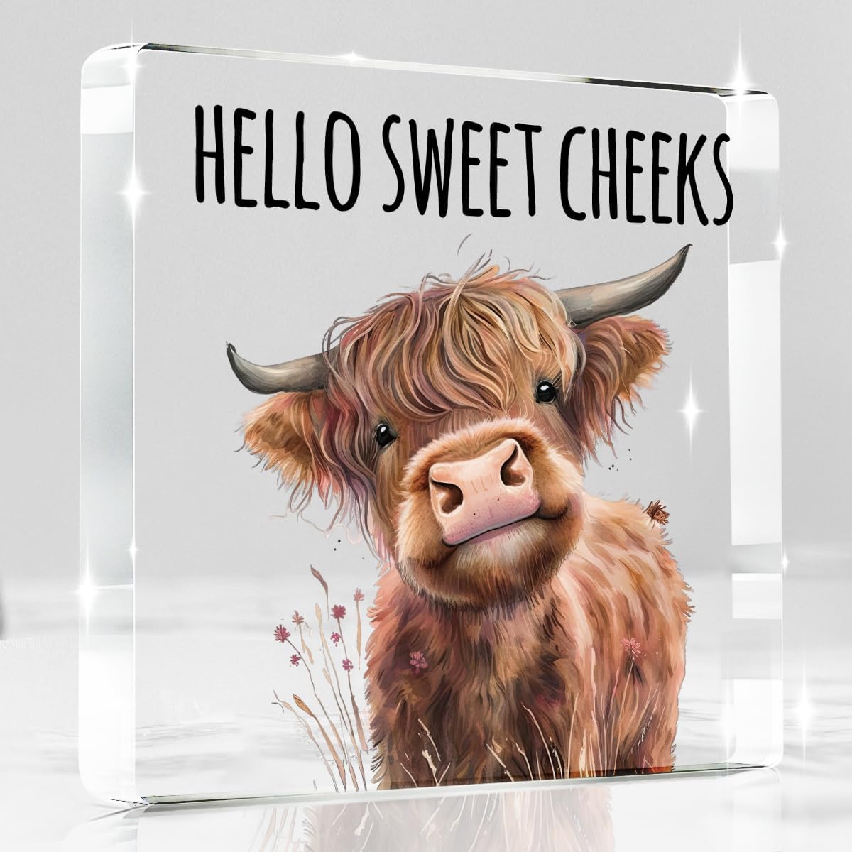 Highland Western Cow Bathroom Decor Gifts,Hello Sweet Cheeks Funny Acrylic Sign Bathroom Decor for Western & Highland Cow Lovers Gifts for Coworker, Friends, Boss, Men, Women 4x4 Inch