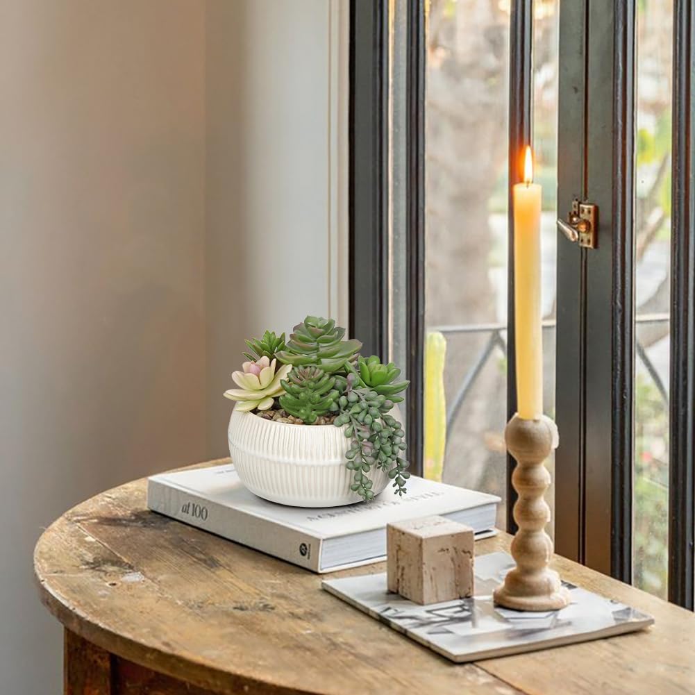 DILATATA Artificial Succulent Plants in Pot 5.5 Inch Fake Succulents Arrangement Potted Plant in White Ceramic Planter Bowl for Home Office Desk Shelf Living Room Bedroom Bathroom Decor