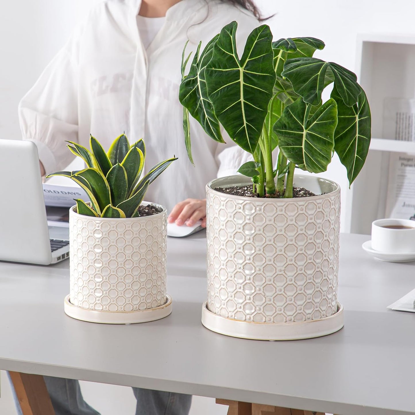 6 Inch Plant Pot: Ceramic Planter with Drainage Hole & Saucer Indoor Outdoor Plants - Cylinder Round Flower Pot for Home Office - Modern Decorative - Small White