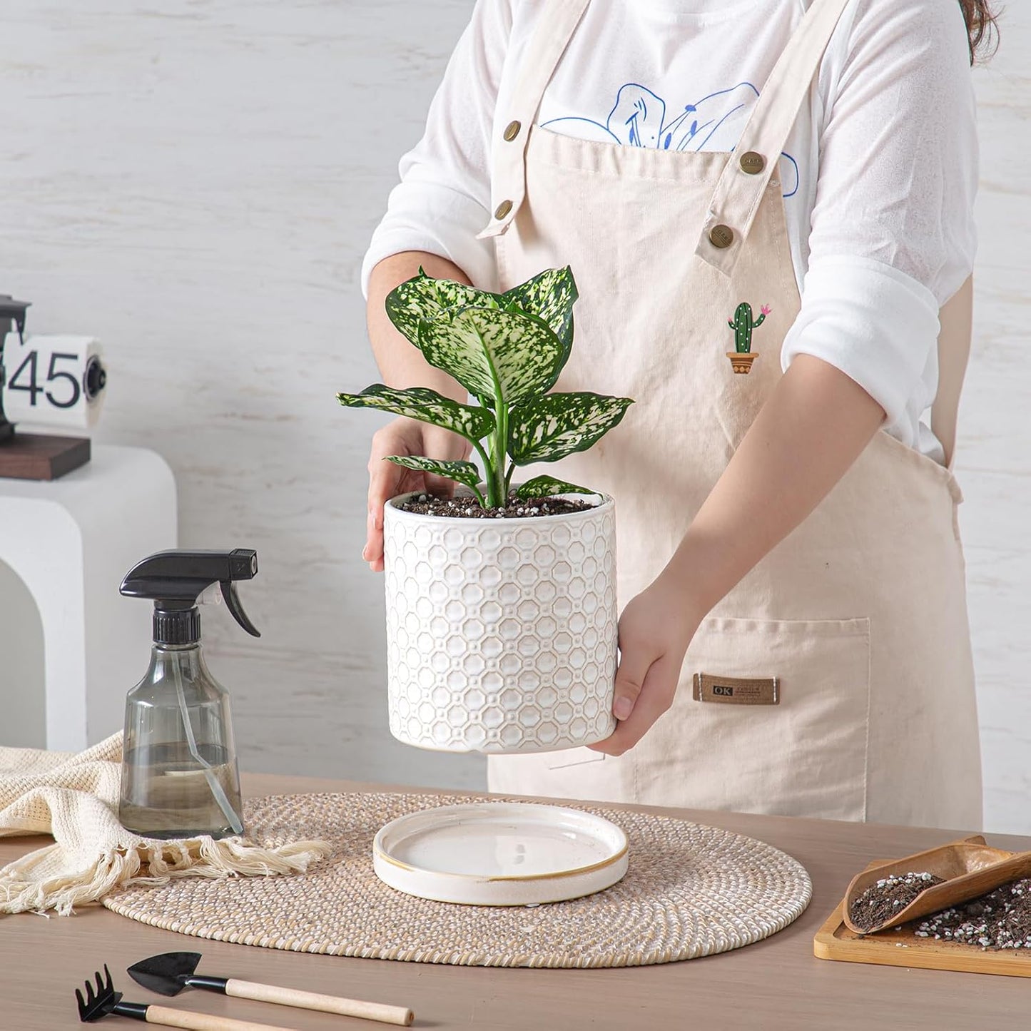 6 Inch Plant Pot: Ceramic Planter with Drainage Hole & Saucer Indoor Outdoor Plants - Cylinder Round Flower Pot for Home Office - Modern Decorative - Small White