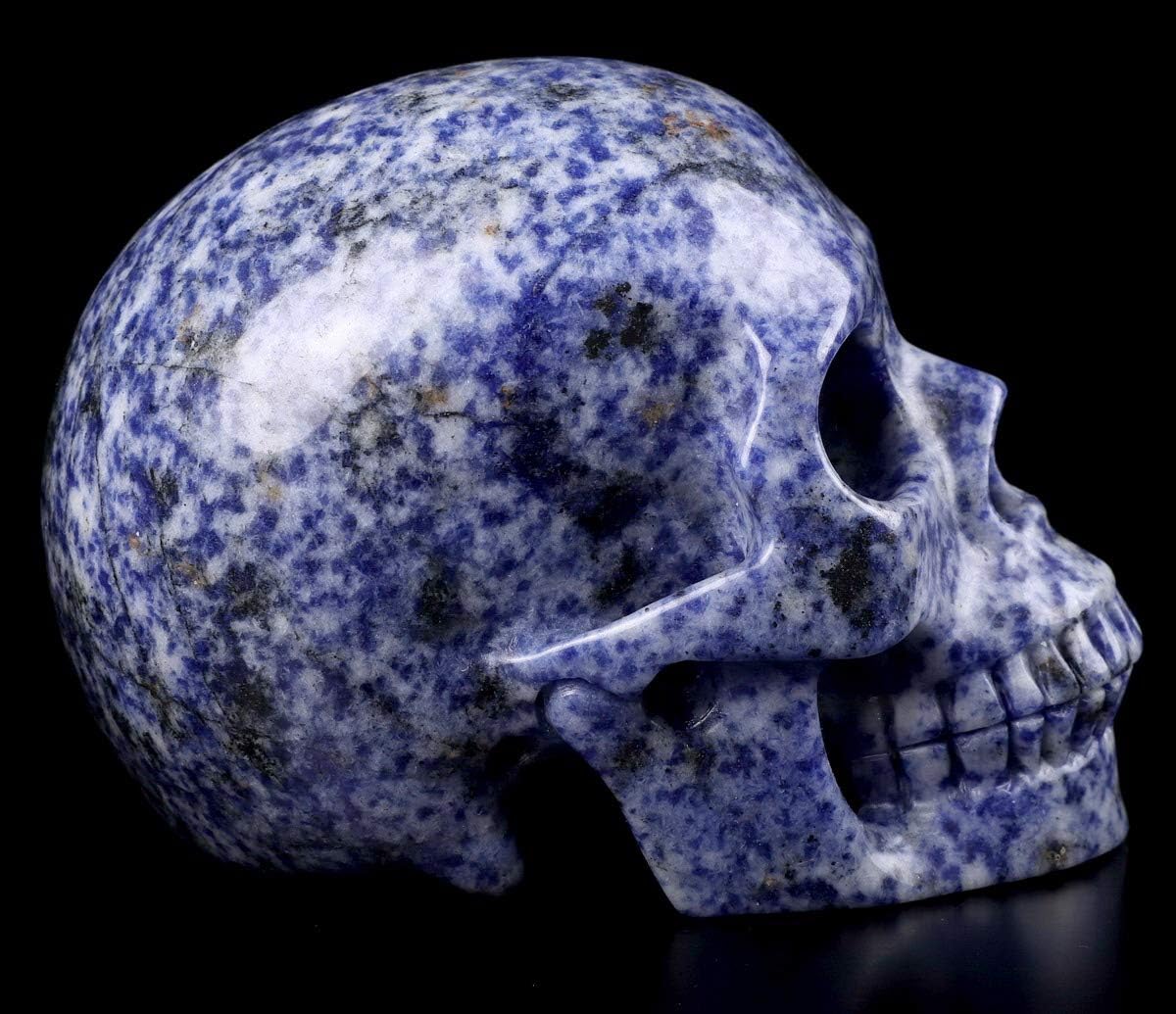 Skullis 5.0" Blue Speckled Sodalite Crystal Skull, Hand Carved Gemstone Fine Art Sculpture, Reiki Healing Stone Statue. z8