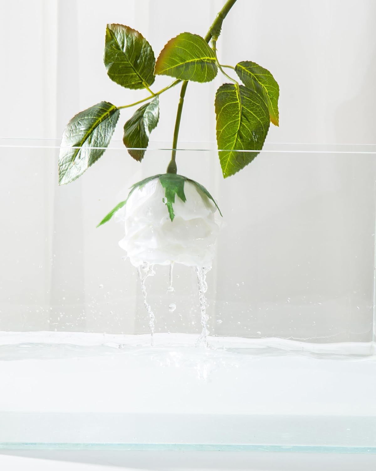 DuHouse 5Pcs Silk Roses Fake White Roses with Stems Real Touch Rose Artificial Flowers for Arrangement Wedding Party Home Decoration