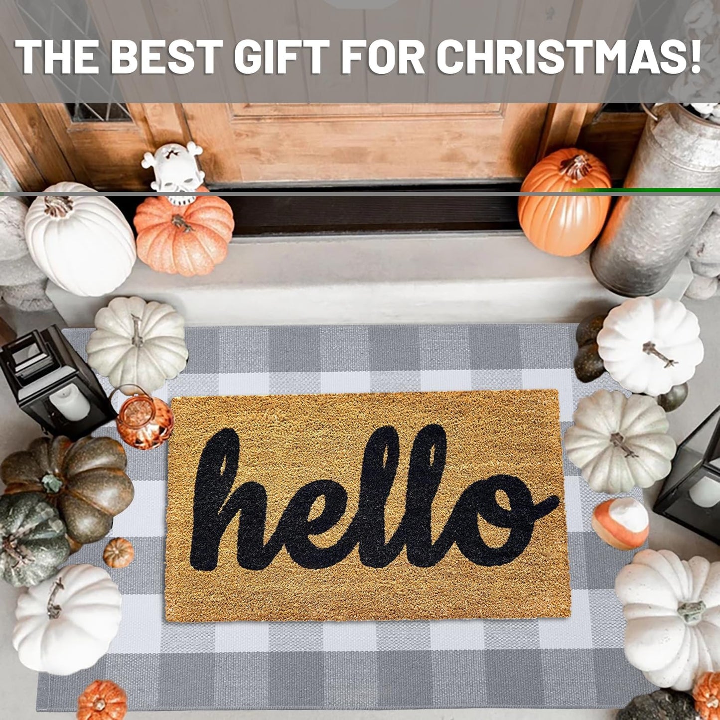 IOHOUZE Buffalo Plaid Checkered Rug 27.5" X 43" Front Door Mats, Washable Area Rugs for Front Porch Decor, Spring Summer Welcome Mats Outdoor, Gray White Rug for Farmhouse/Entryway/Home Entrance