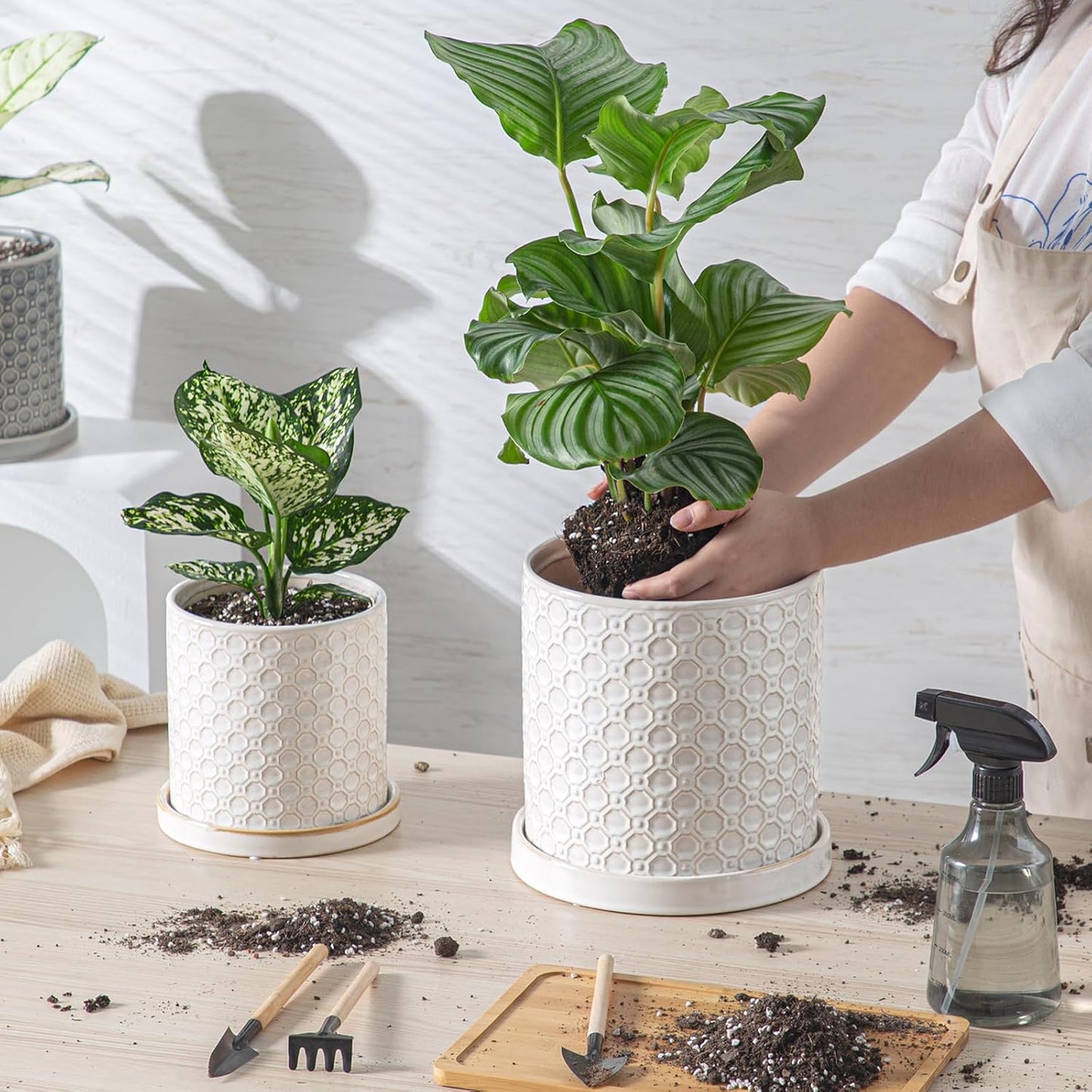 6 Inch Plant Pot: Ceramic Planter with Drainage Hole & Saucer Indoor Outdoor Plants - Cylinder Round Flower Pot for Home Office - Modern Decorative - Small White