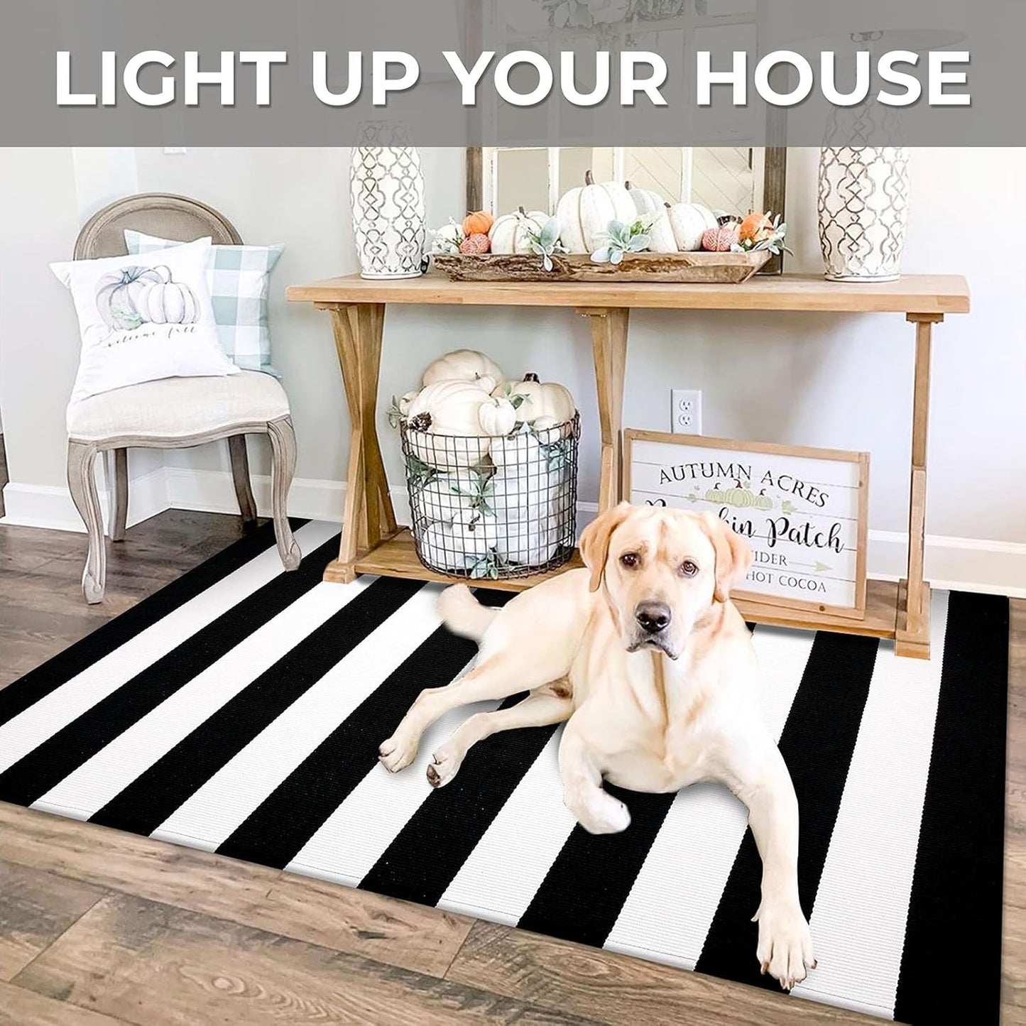 IOHOUZE Black White Striped Rug -3x5 Front Door Mats Outdoor,Washable Rug for Front Porch Decor,Spring Summer Welcome Mats Outdoor Indoor, Doormat for Farmhouse/Entryway/Home Entrance