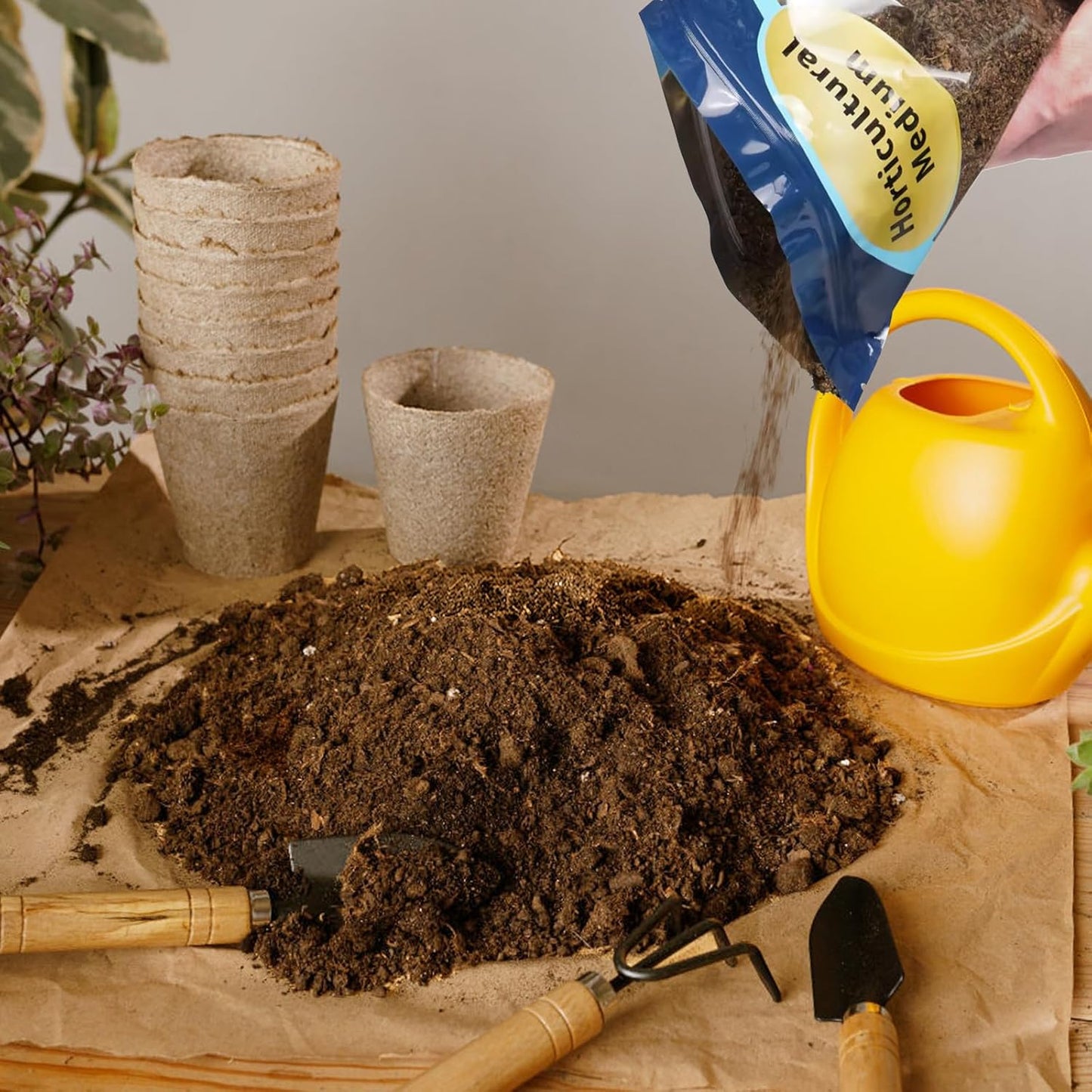 Sphagnum Peat Moss for Plants 10qt, Organic Garden Growing Soil Amendment and Media for Flowers, Vegetables, Herbs, Orchid, Indoor Houseplant