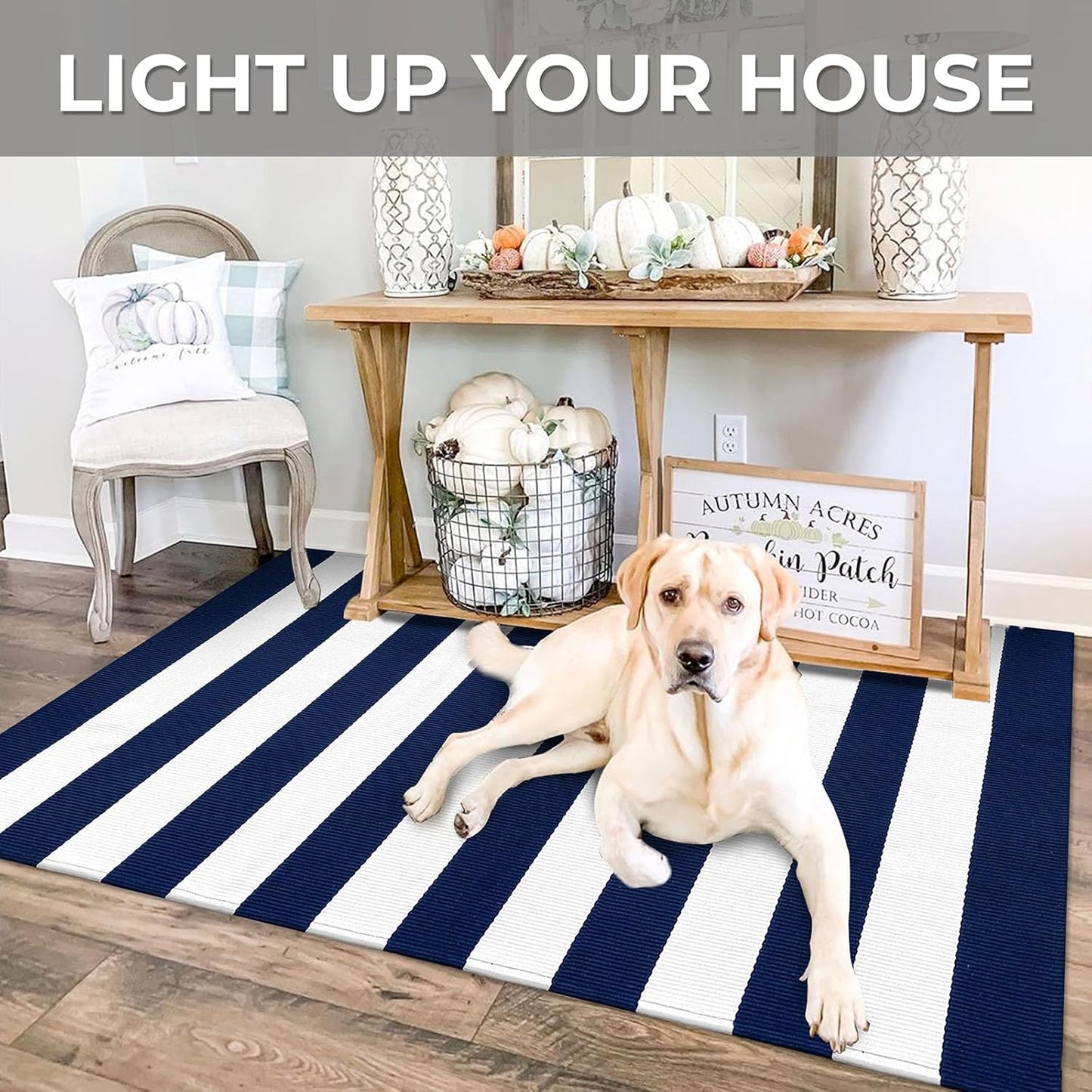 IOHOUZE Navy and White Striped Rug 3'x5' Front Door Rugs Outdoor, Washable Area Rug for Front Porch, Spring Summer Doormats Outdoor Indoor, Cotton Rugs for Entryway Porch Entrance