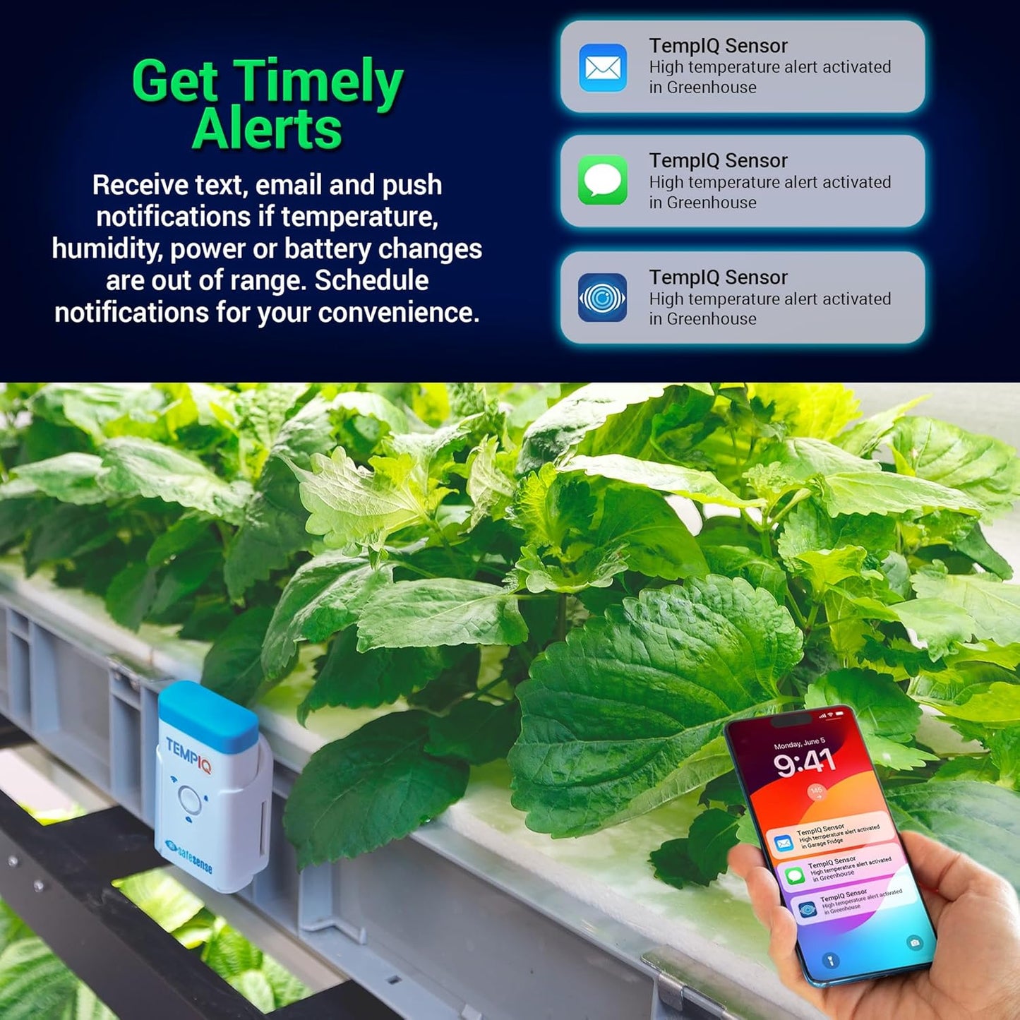 TEMPIQ Remote WiFi Temperature & Humidity Sensor - App Integration, Alerts, Helps Monitor 2nd Home, AirBnb, RV, Pets,Freezer and Server Room, Indoor & Outdoor Hygrometer & Thermometer