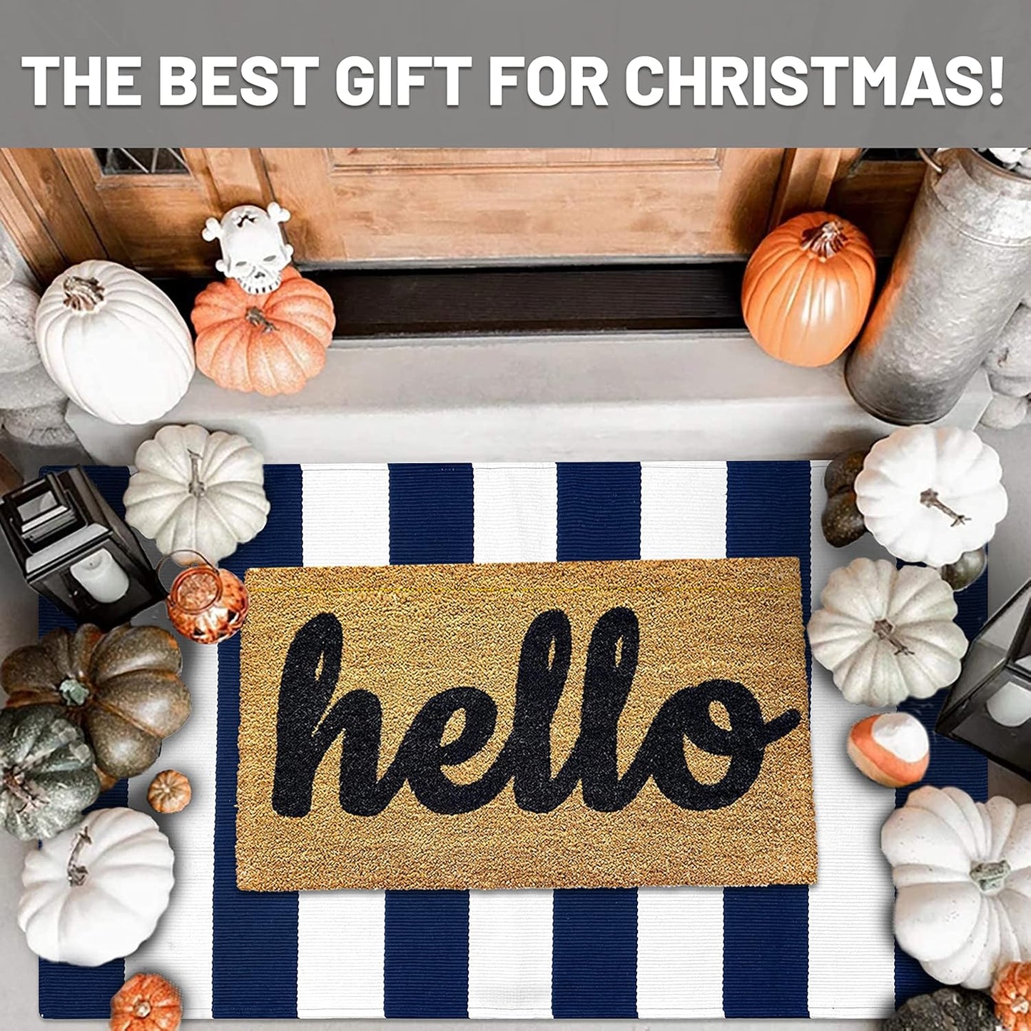 IOHOUZE Navy White Striped Rug -27.5" X 43" Front Door Mats Outdoor,Washable Rug for Front Porch Decor,Spring Summer Welcome Mats Outdoor Indoor, Doormat for Farmhouse/Entryway/Home Entrance